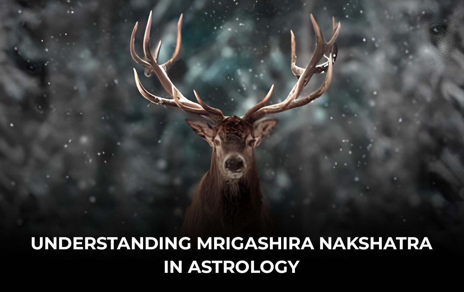 Understanding Mrigashira Nakshatra In astrology