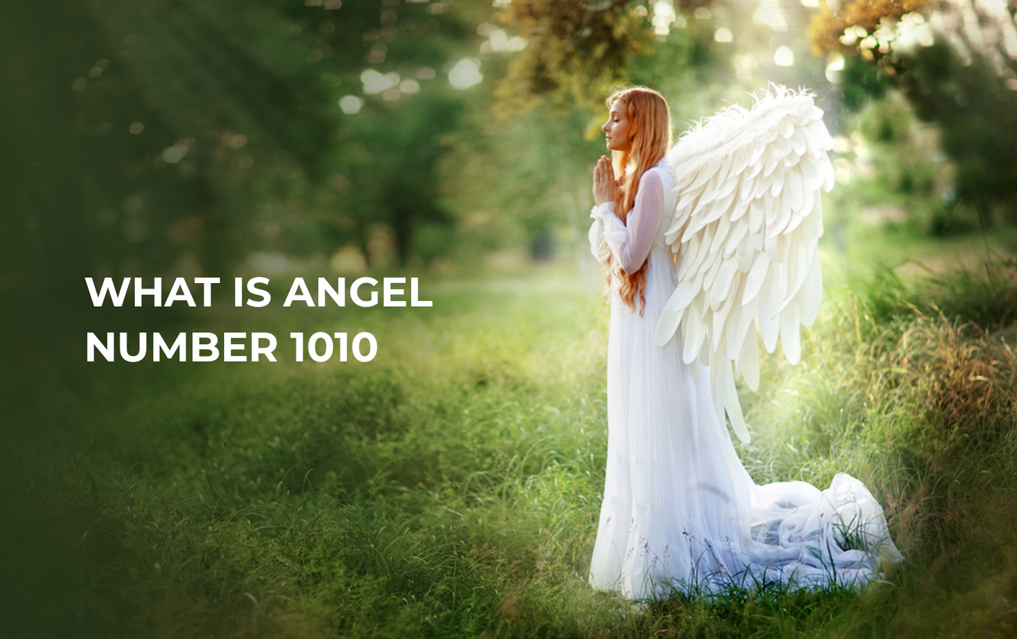 What is angel number 1010