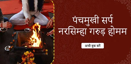 Panchamukhi Sarpa Narsimha Garuda Homam