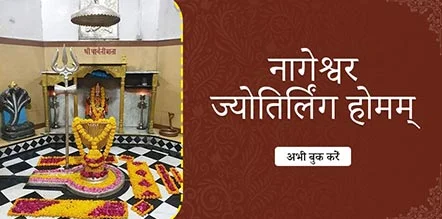 Nageswara Jyotirlinga Homam