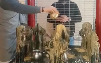 Maa Jagaddhatri Pooja