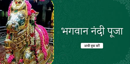 Lord Nandi Pooja