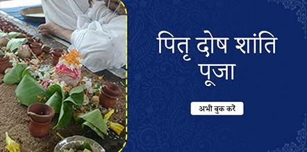 Pitra Dosh Shanti Pooja