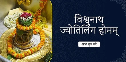 Vishwanath Jyotirlinga Homam