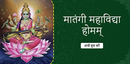 Matangi Mahavidya Homam